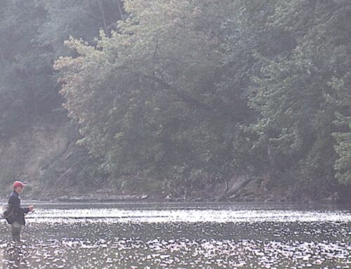 Can changing your environment improve your health? Author explains at library event