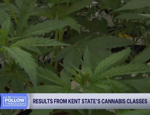 Going Green: Kent State adds more cannabis certificate programs to keep up with industry d