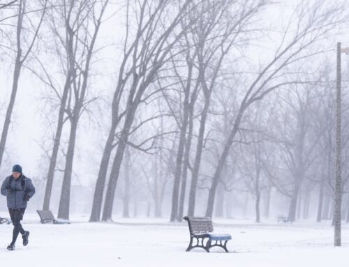Weather alerts in nearly every province and territory on first day of 2026