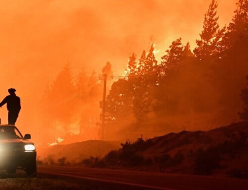 Patagonia fires reignite debate over Argentina’s underfunded environmental agencies