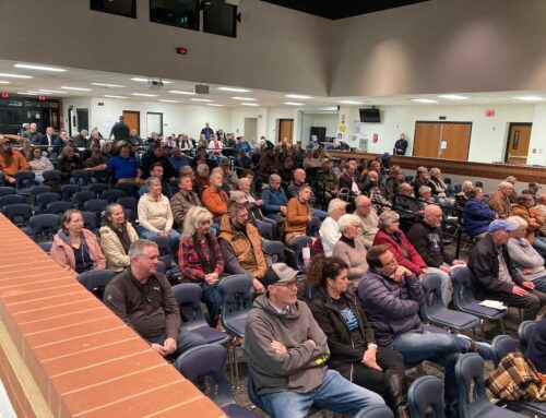 ‘They are ugly.’ Residents rally against proposed solar farm expansion in Southern Michiga