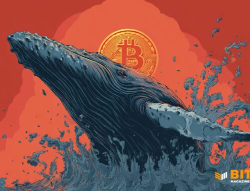 Bitcoin Whales Keep Buying, 100+ BTC Holders Hit New Highs