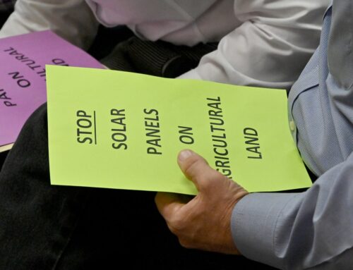 Carroll leaders say solar is taking up farmland. Here’s what the numbers say.