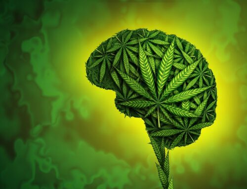 A Hidden Stress Signal Makes Rats Crave Cannabis