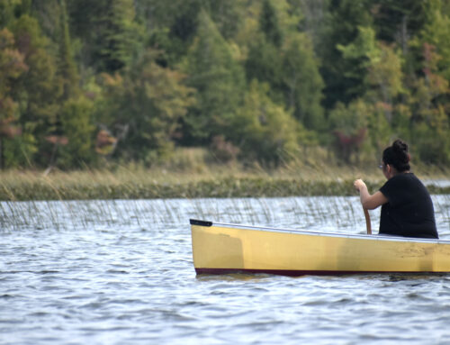 Year-end reports from Michigan’s environmental agency show progress on several persisting