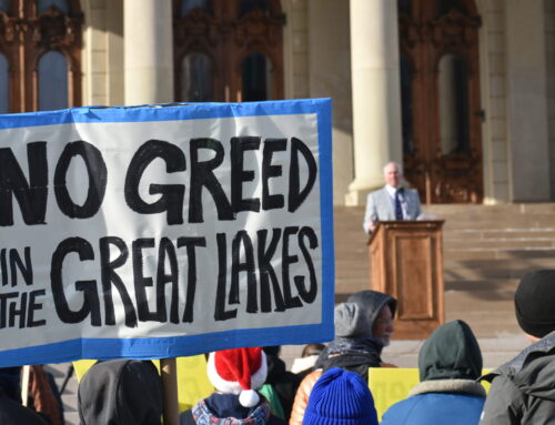 From data centers to invasive carp: Michigan Advance’s top 2025 environmental stories