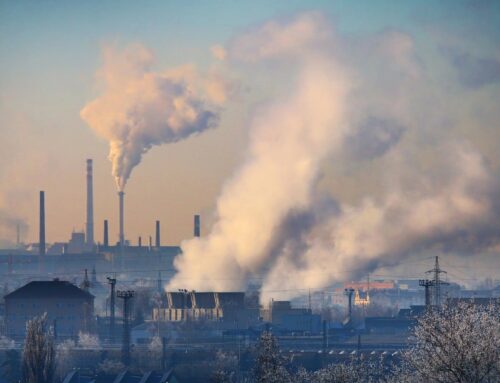 ACWA Power advances Indonesia renewable ammonia project toward 2026 commercial launch