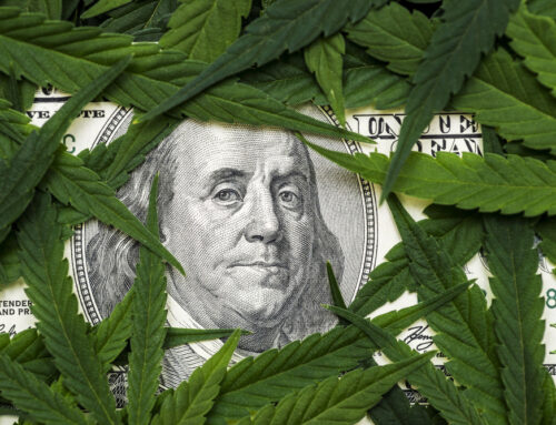 New York cannabis industry enters 2026 with growth, uncertainty