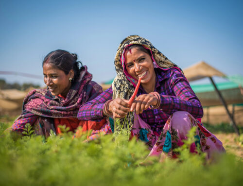 Investing in Gender and Nature: Opportunities for DFIs and MDBs