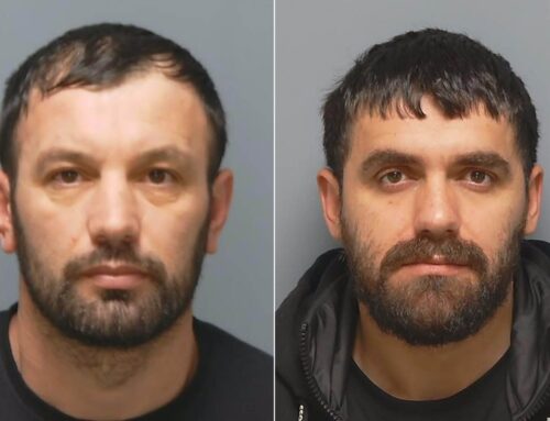 Pair who created cannabis factory inside old fancy dress shop jailed