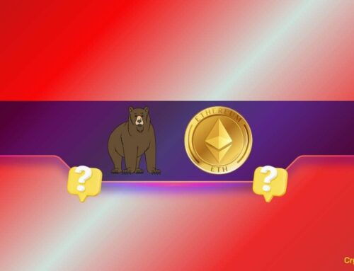 Ethereum Whales’ Holdings Decline Steadily as ETH Price Falls Below Crucial Support | Cryp