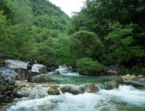 How Does Nature Contribute to the Economy? These Environmental Accountants Are Trying to F