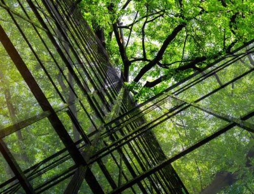 EU Green Week 2026: Investing in a nature-positive economy