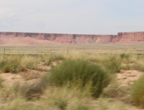 Tribes still figuring out how to fund renewable energy projects following Trump cuts