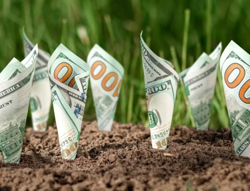 Minnesota adult-use cannabis sales hit $31 million since September launch