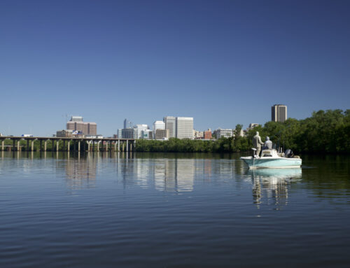 Environment and energy groups set priorities for 2026 legislative session