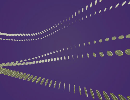 Manage Your AI Investments Like a Portfolio