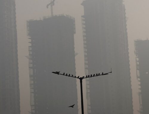 India arrests environmental activist for anti-fossil fuel work