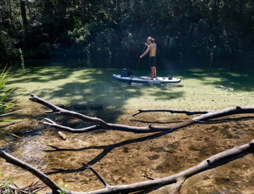 Florida senator says he has a fix for dirty waters