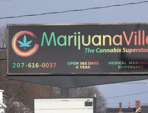 Maine OCP issue advisory about unsafe levels of pesticides in MarijuanaVille medical canna