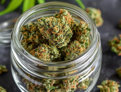 Legal cannabis in New York sees record growth in sales