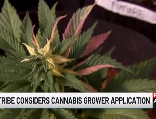 Omaha Tribe hears first cannabis cultivator application