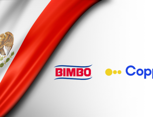 These Mexican families are stepping up to impact investing even as others step back