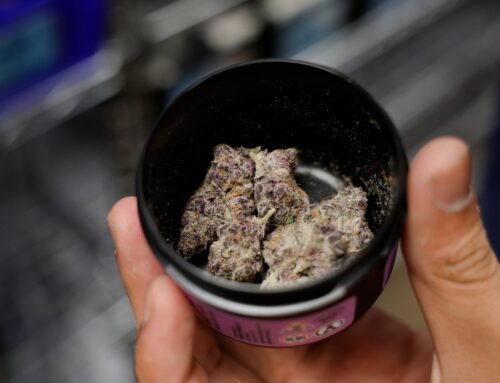 Cannabis repeal ballot measure can move forward, as panel dismisses challenge