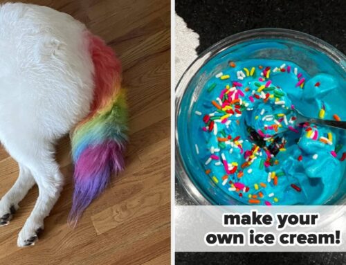 44 Things To Buy With The Amazon Gift Card You Got For Christmas