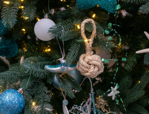 Rhode Island environment department, Trout Unlimited seeking Christmas trees to prevent er