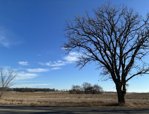As Michigan township considers new solar project, 2 commissioners with stakes step aside
