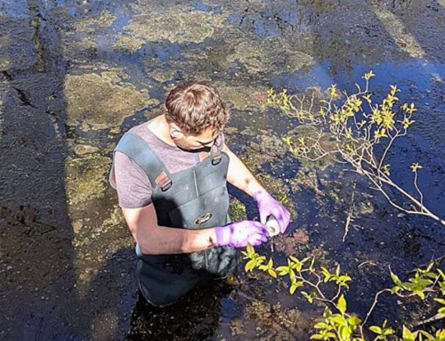PFAS leach into river from old textile mill ponds