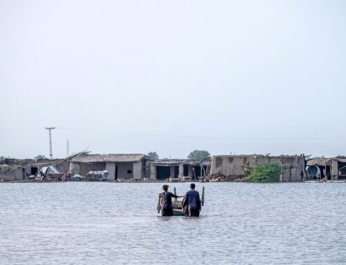 Pakistan seeks justice for environmental harm through climate litigation