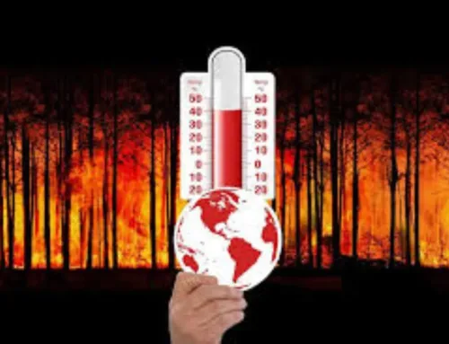 Climate Change Forecasts for 2026: Critical Temperatures and Environmental Challenges in A