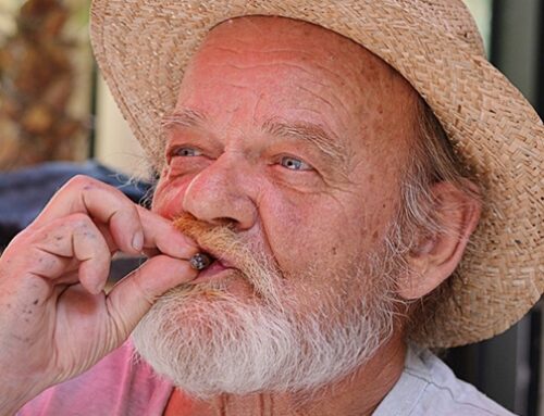 Cannabis Can Improve Cognitive Performance In Seniors