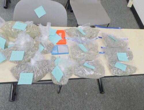 APD Traffic Stop Leads to Cannabis Arrest