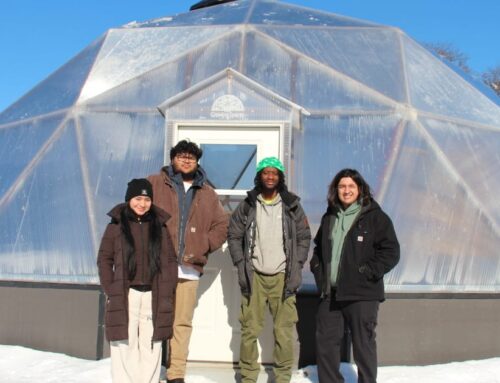 Illinois’ booming solar sector entices young job seekers