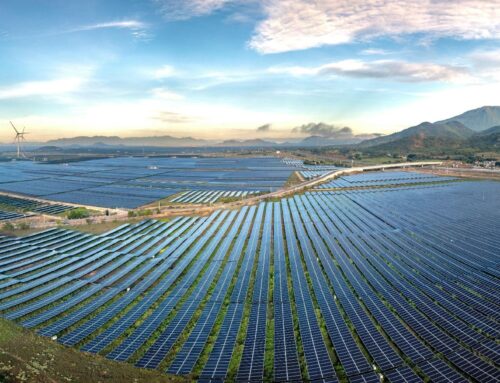 The world is being “carpeted” by solar panels — Map shows how many installations are gener