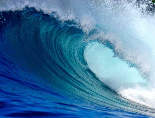 Futures: Earnings Wave Looms; What To Do