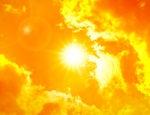 Can Morality Survive Climate Collapse?