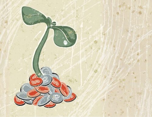 Distinct LP roles drive scale in impact investing market