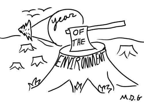 The hypocrisy of the Year of the Environment