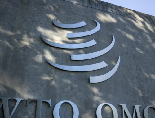 India stops China’s request for WTO dispute panel on car, renewables measures, says offici