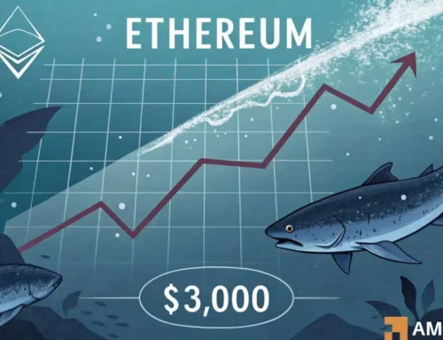 Ethereum slips below $3,000 – Why are whales quietly buying the dip?