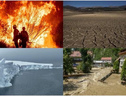 Bigger Profits, Bigger Responsibility: Large Firms Urged To Bear Environmental Costs