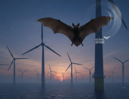 Wind turbines triggered a reaction nobody predicted — Now a U.S. technology could save 800