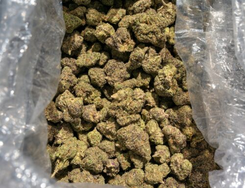 Who is behind the $1.5M spent to abolish legal weed sales in Massachusetts?