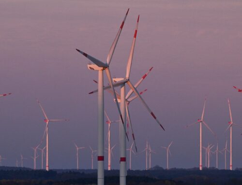 Europe commits to wind energy expansion despite Trump criticism, draft shows