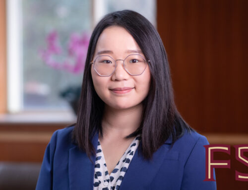 FSU chemist named Rising Star for contributions to clean energy discovery, storage