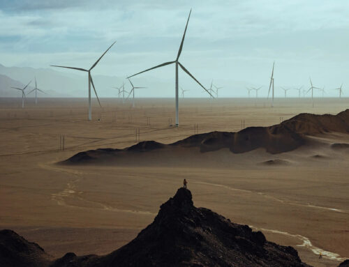 Photos Capture the Breathtaking Scale of China’s Wind and Solar Buildout